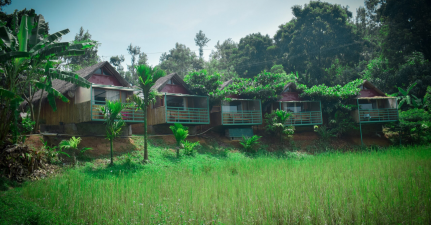 resort nature