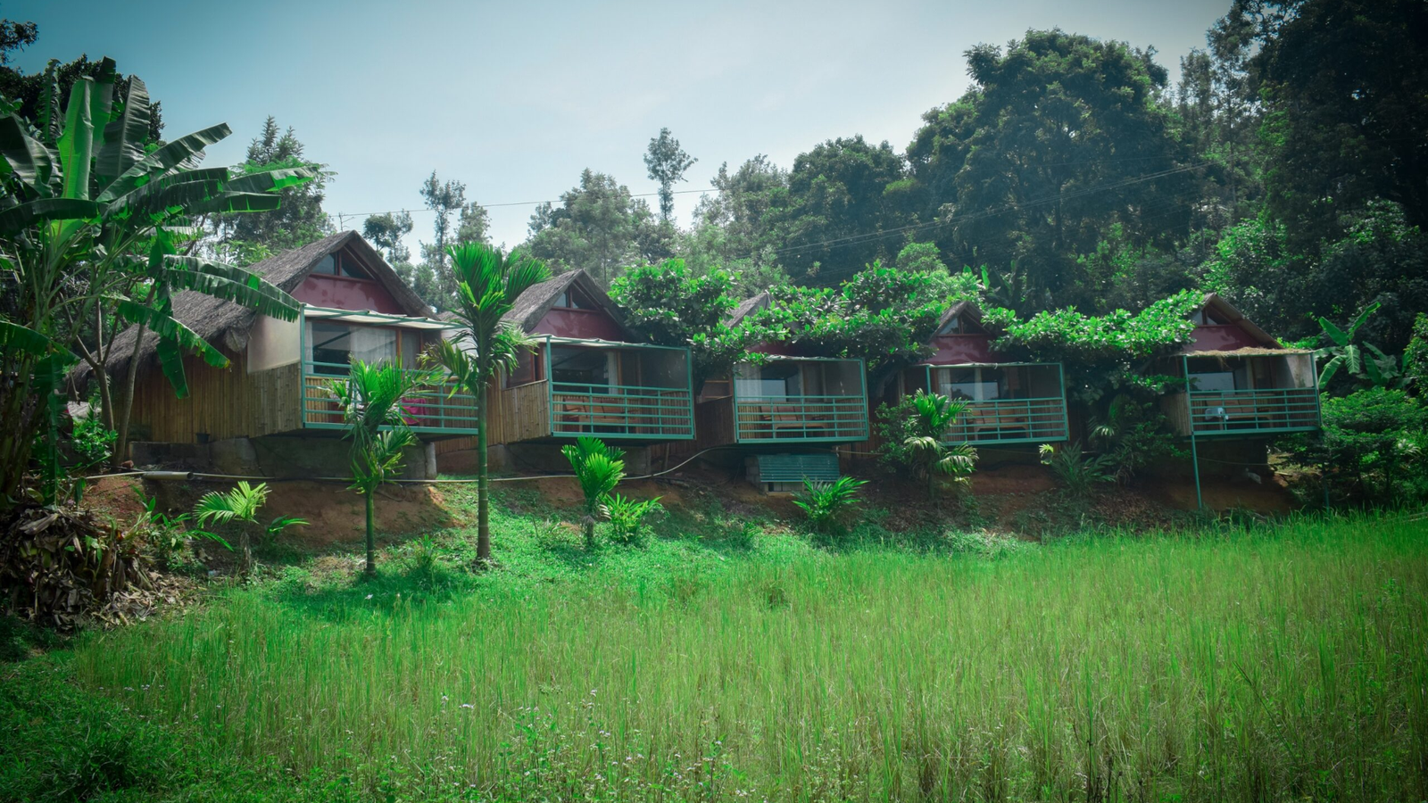 resort nature